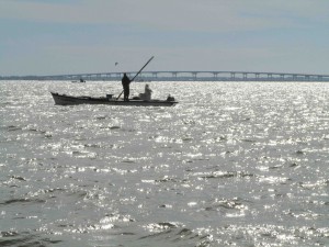 An oysterman harvests oysters from Apalachicola Bay in December 2013.